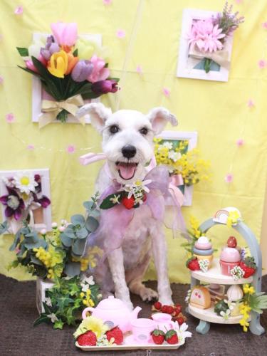 20230312クランちゃん